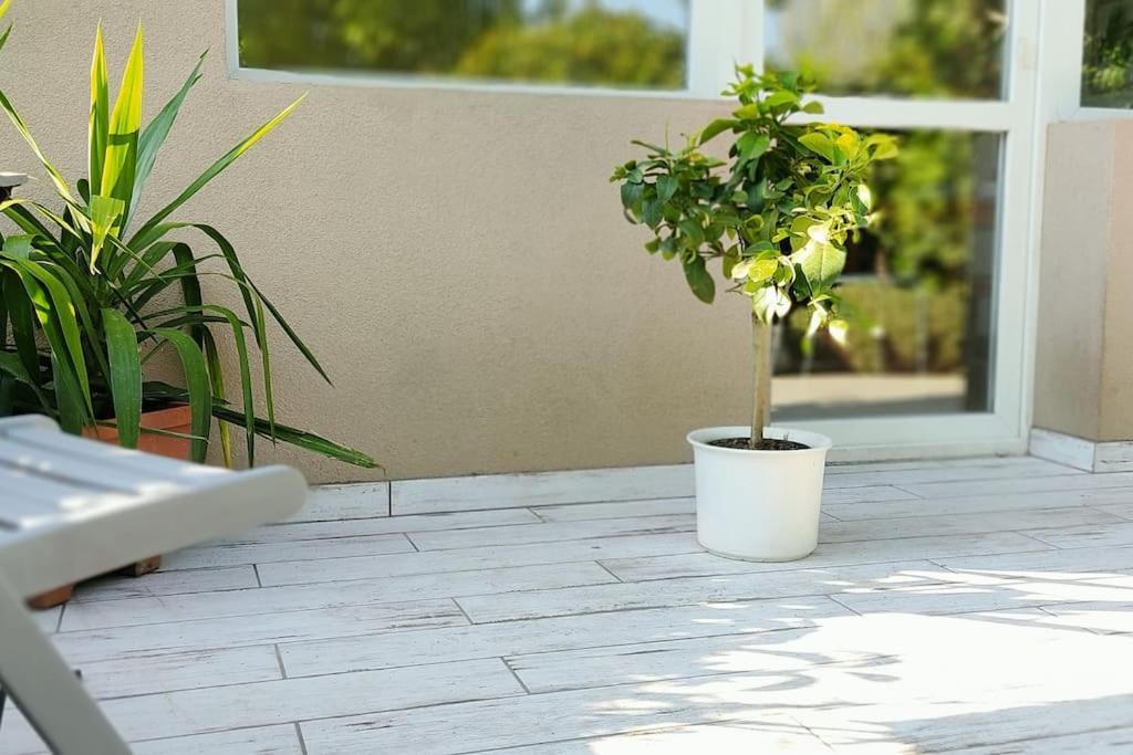 Flora House 3 Minutes From Lake Balaton Keszthely Εξωτερικό φωτογραφία