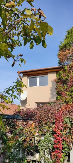 Flora House 3 Minutes From Lake Balaton Keszthely Εξωτερικό φωτογραφία